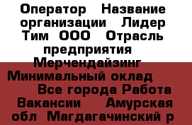 Оператор › Название организации ­ Лидер Тим, ООО › Отрасль предприятия ­ Мерчендайзинг › Минимальный оклад ­ 26 000 - Все города Работа » Вакансии   . Амурская обл.,Магдагачинский р-н